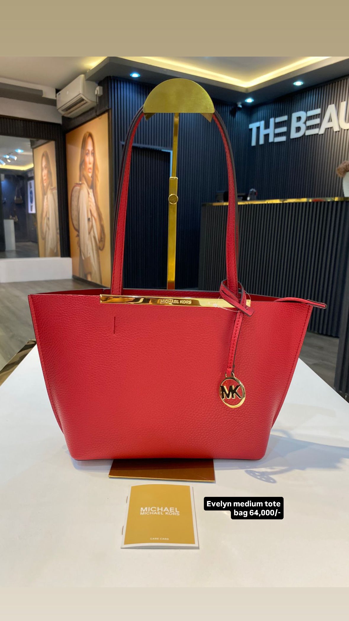 Michael Kors Evelyn Small Tote Bag