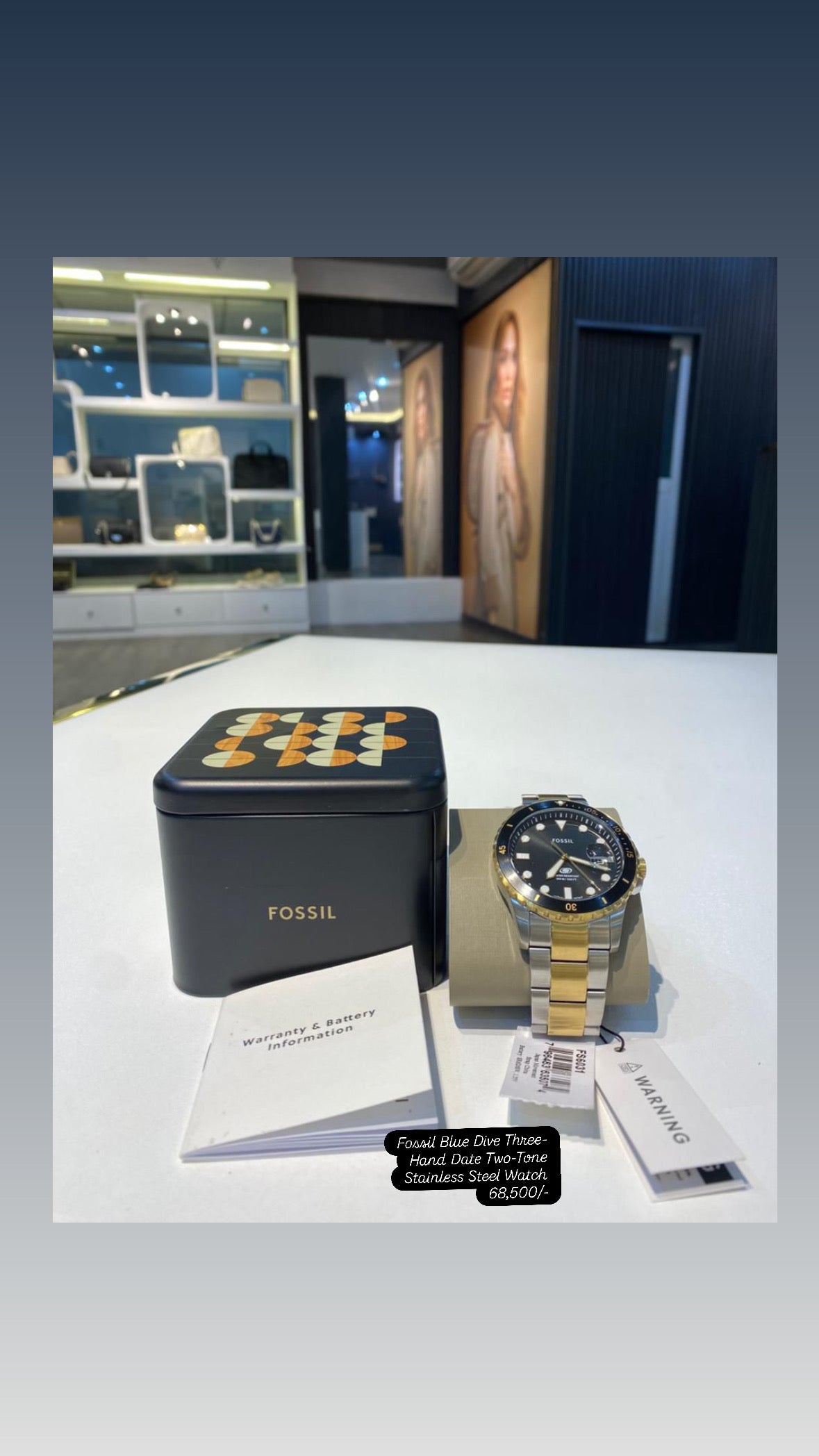 Fossil Fossil Blue Dive Three-Hand Two-Tone Stainless Steel Watch